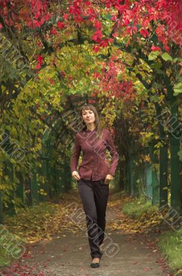 The beautiful girl in autumn park