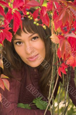 Portrait of the  brunette in autumn leaves