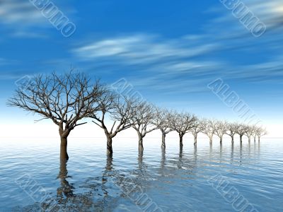 trees in surroundings water
