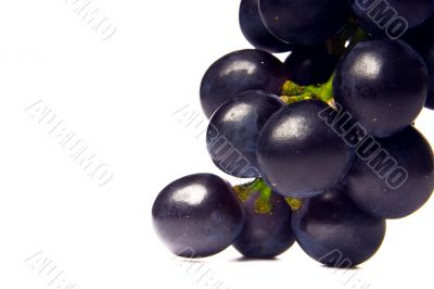 cluster of vine of dark color