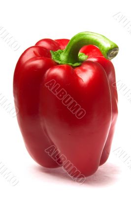 excellent red pepper