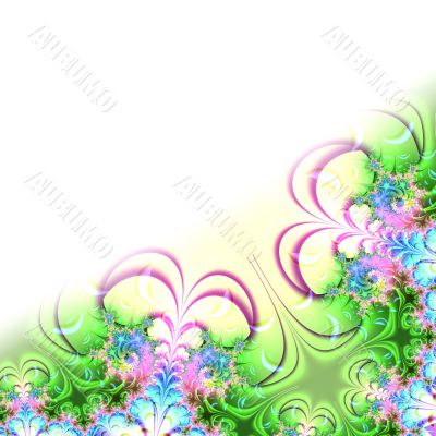 stylish paradisial plants
