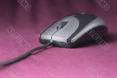 computer mouse of grey color