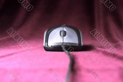 computer mouse