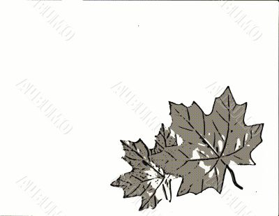 Seasonal Designs