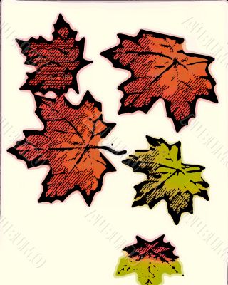 Seasonal Designs