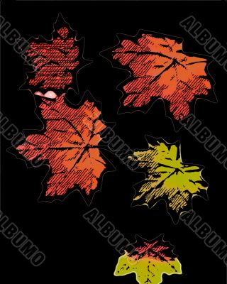 Seasonal Designs