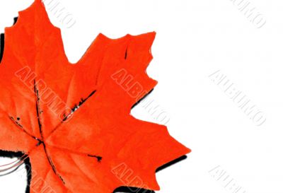 Seasonal Designs
