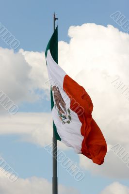 Mexican flag 5