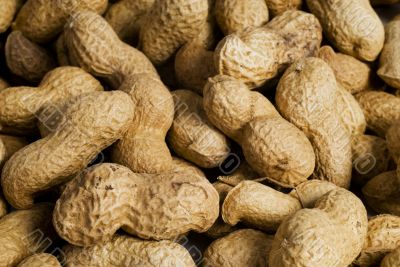 lot`s of peanuts