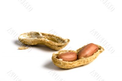 Broken peanuts
