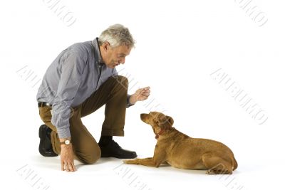 obedience lay down