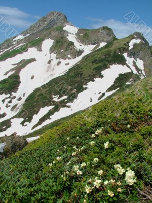 Slope of the mountain
