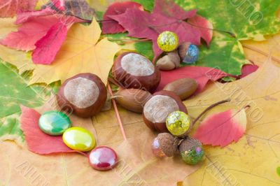 Autumn still-life