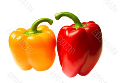 red and yellow peppers