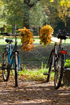 fall couple of bicycles