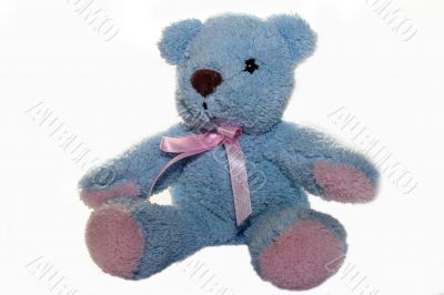 small blue teddy bear