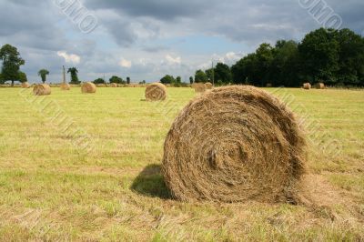 Round bale