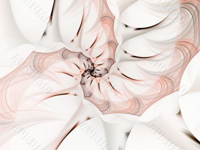 Shade in Spin