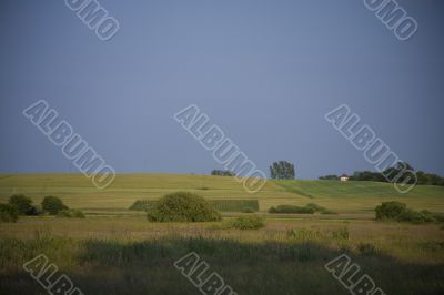 summer landscape