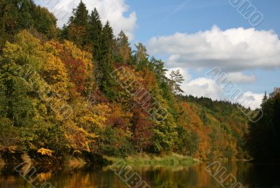 Colorful trees on the river bank in national park