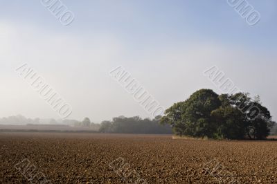 Ploughed field