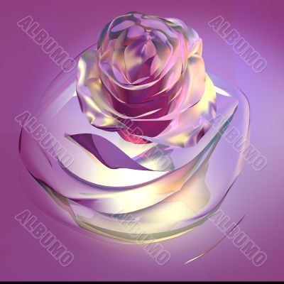 rose buton polichrome