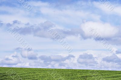 Grass and sky