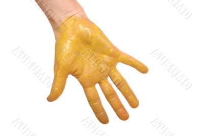 womanish palm