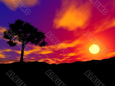 single tree