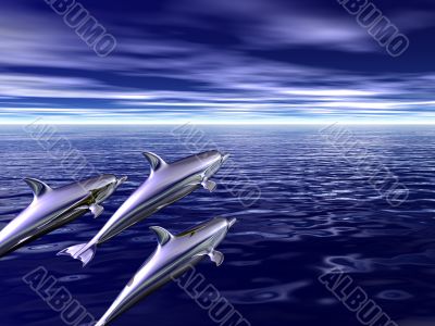family of dolphins