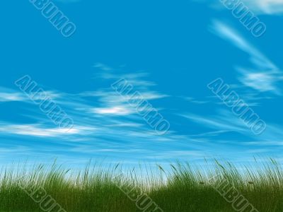 grass and cloudy sky