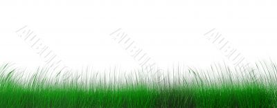 green juicy grass