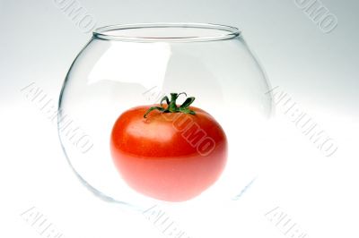 ripe tomato in a glass round jar