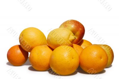 oranges and apples