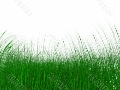 juicy green grass