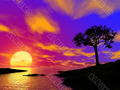 single tree on sunset
