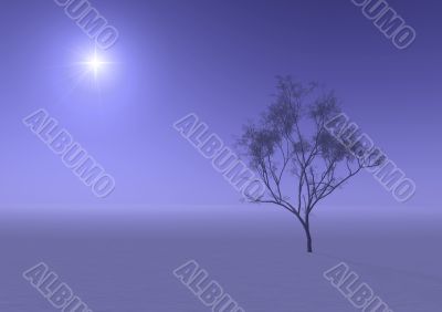 tree in misty haze