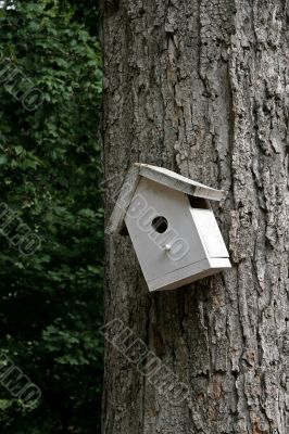 Crooked Birdhouse