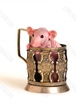 Naked rat