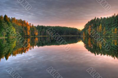 Autumn wood