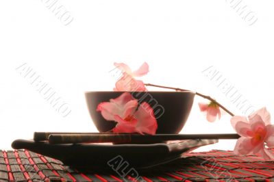 Chinese sticks, plate and cup