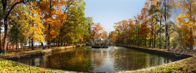 Pond in autumn