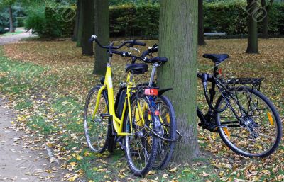 Three bicycles