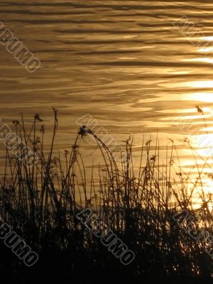 evening on the river