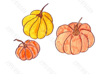 Pumpkin