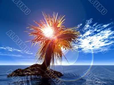 palm on the island