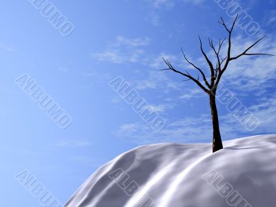 winter tree
