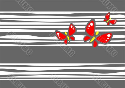 Grey strips and butterflies