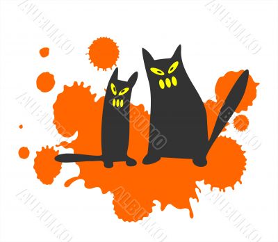 Two black cats